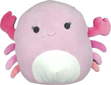 Load image into Gallery viewer, Squishmallows Cailey Crab Soft Plush