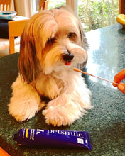 Load image into Gallery viewer, Dog-Toothpaste-Rotisserie-Chicken-Flavor.jpg