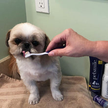 Load image into Gallery viewer, Dog-Toothbrush-Dual-Ended-Brush-Head.jpg