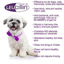 Load image into Gallery viewer, Dog First aid Spray