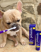 Load image into Gallery viewer, Dog-Toothbrush-Dual-Ended-Brush-Head.jpg