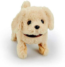 Load image into Gallery viewer, Pitter Patter Pets - Walking Dog, Keyring and 5 Stickers - 3 PC Puppy Bundle - OMG Closet