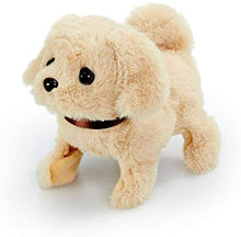 Load image into Gallery viewer, Pitter Patter Pets - Walking Dog, Keyring and 5 Stickers - 3 PC Puppy Bundle - OMG Closet