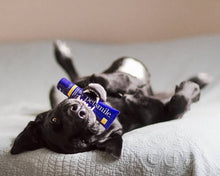 Load image into Gallery viewer, Dog-Toothpaste-Rotisserie-Chicken-Flavor.jpg