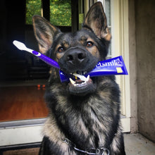 Load image into Gallery viewer, Petsmile-London-Broil-Flavor-Toothpaste.jpg