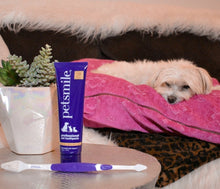 Load image into Gallery viewer, Dog-Toothbrush-Dual-Ended-Brush-Head.jpg