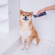 Load image into Gallery viewer, Dog-Toothbrush-Dual-Ended-Brush-Head.jpg