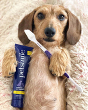 Load image into Gallery viewer, Dog-Toothbrush-Dual-Ended-Brush-Head.jpg