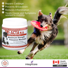 Load image into Gallery viewer, Integricare Tri-Acta H.A. Maximum Strength, Pharmaceutical Hip and Joint Supplement, Helps Your Pet Stay Active and Pain-Free Due to Aging - for Dogs 60 Gram - OMG Closet
