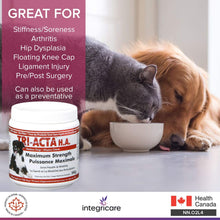 Load image into Gallery viewer, Integricare Tri-Acta H.A. Maximum Strength, Pharmaceutical Hip and Joint Supplement, Helps Your Pet Stay Active and Pain-Free Due to Aging - for Dogs 60 Gram - OMG Closet