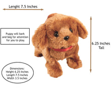 Load image into Gallery viewer, Pitter Patter Pets - Walk Along Puppy Pal, Keyring, 5 Stickers - 3 PC Dog Bundle - OMG Closet