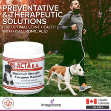Load image into Gallery viewer, Integricare Tri-Acta H.A. Maximum Strength, Pharmaceutical Hip and Joint Supplement, Helps Your Pet Stay Active and Pain-Free Due to Aging - for Dogs 60 Gram - OMG Closet