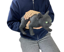 Load image into Gallery viewer, Black Cat Pet Decoration and 5 Assorted Stickers - 2 PC Bundle - OMG Closet