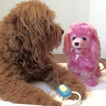 Load image into Gallery viewer, Walking Barking Remote Control Leash Dog with Adoption Certificate - OMG Closet