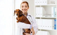 Load image into Gallery viewer, Loona Odor Eliminator Removes Tough Odours Pet, Cat, Dog and Skunk Odors 500ml - OMG Closet