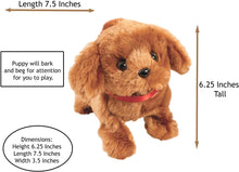 Load image into Gallery viewer, Pitter Patter Pets - Walking Dog, Keyring and 5 Stickers - 3 PC Puppy Bundle - OMG Closet