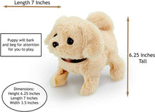 Load image into Gallery viewer, Pitter Patter Pets - Walking Dog, Keyring and 5 Stickers - 3 PC Puppy Bundle - OMG Closet