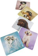 Load image into Gallery viewer, TropiClean Fresh Breath Oral Care Water Additive for Dogs With 5 Assorted Dog Stickers - OMG Closet