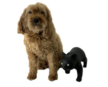 Load image into Gallery viewer, Black Cat Pet Decoration and 5 Assorted Stickers - 2 PC Bundle - OMG Closet
