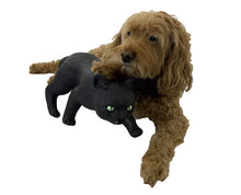 Load image into Gallery viewer, Black Cat Pet Decoration and 5 Assorted Stickers - 2 PC Bundle - OMG Closet
