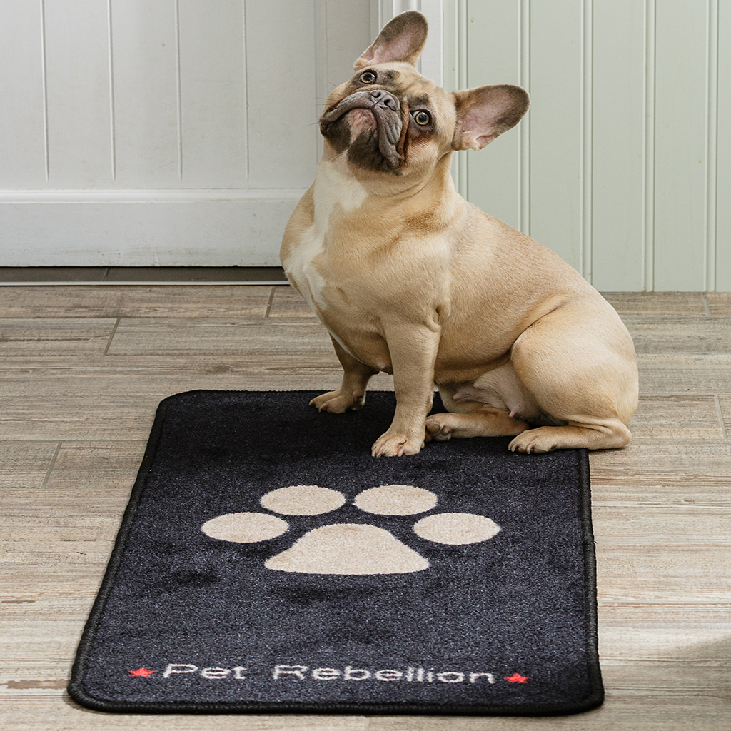 Stop Muddy Paws Dog Mat Carpet Pet Rug for Dogs and Cats - [OMG Closet]